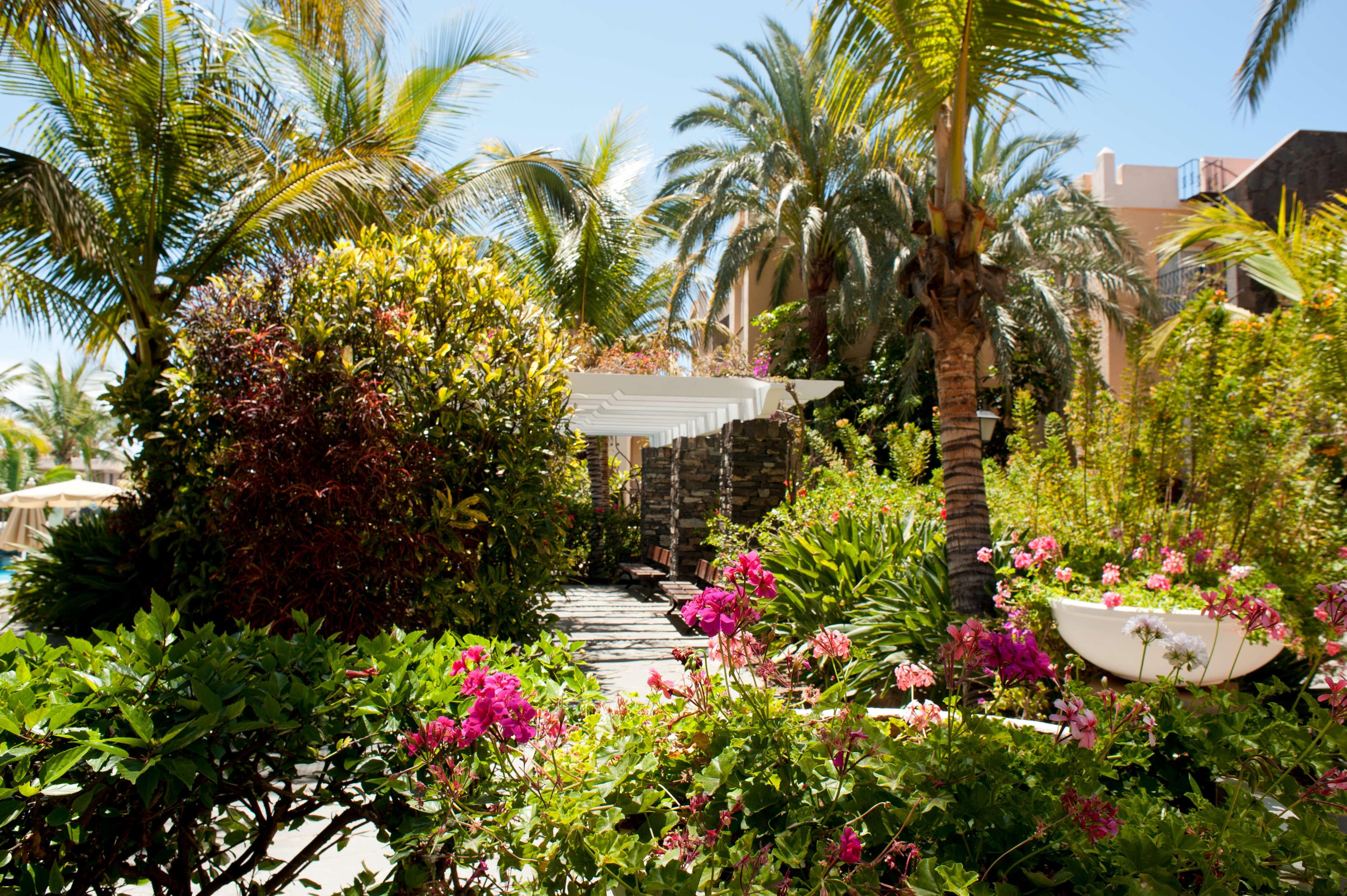 Palm Oasis Maspalomas (Gran Canaria)