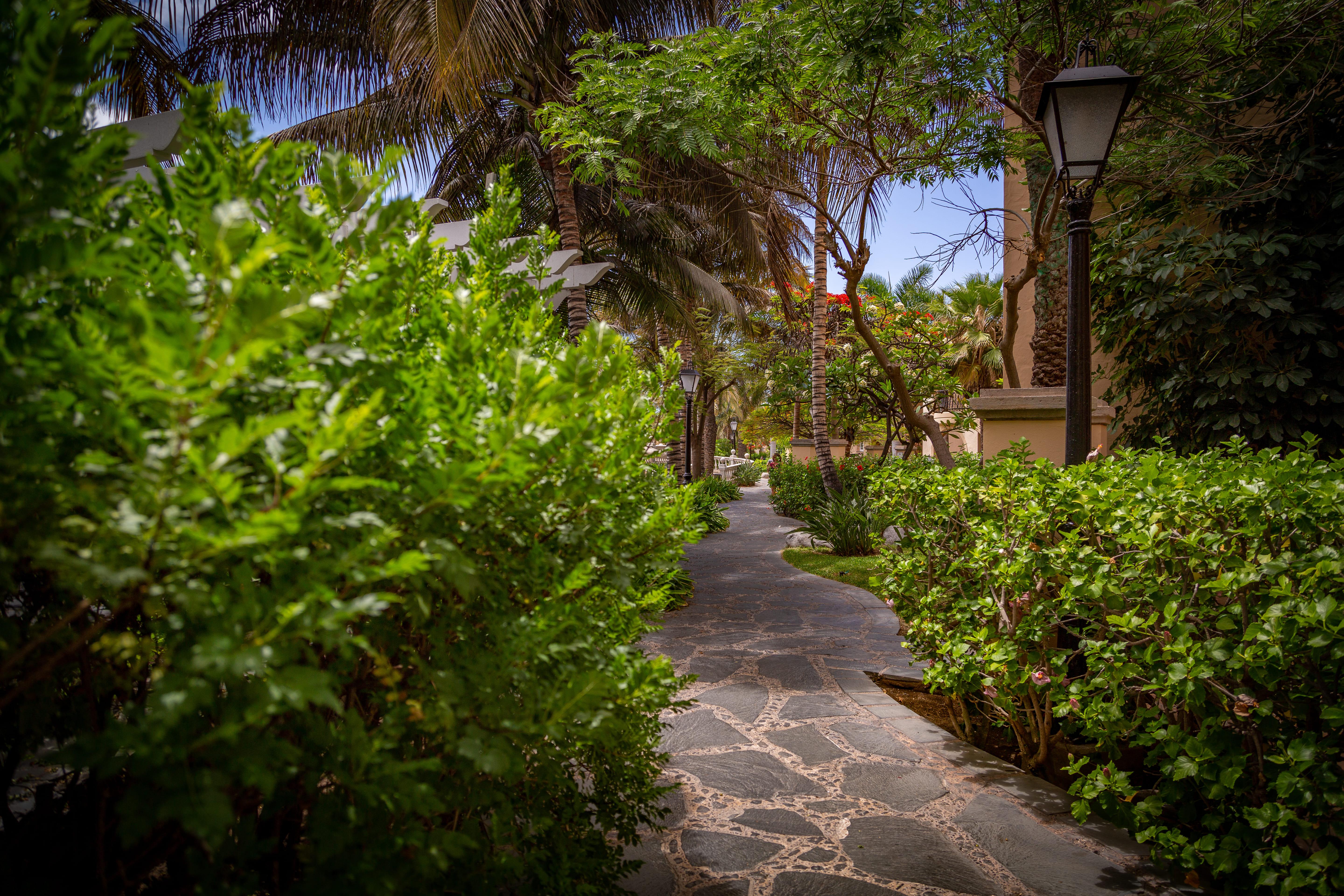 Palm Oasis 3* Maspalomas (Gran Canaria)